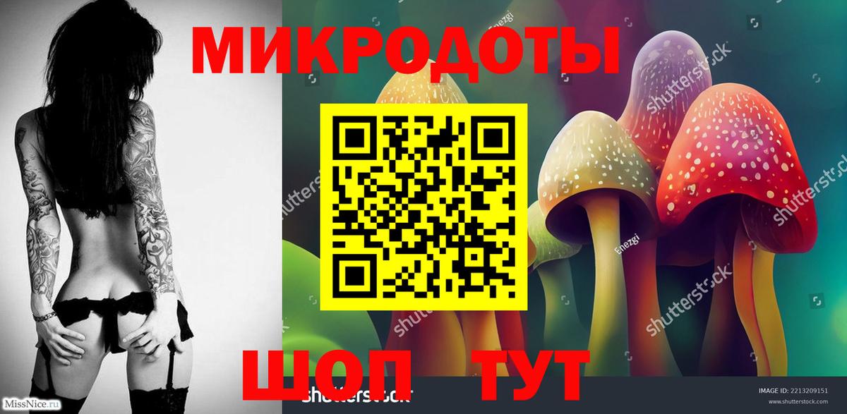 Галлюциногенные грибы Psilocybine cubensis Чехов